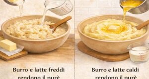 img_9893.jpeg img_9893.jpeg