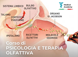 img_0047.jpeg img_0047.jpeg