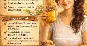 img_9784.jpeg img_9784.jpeg