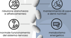 img_9914.jpeg img_9914.jpeg