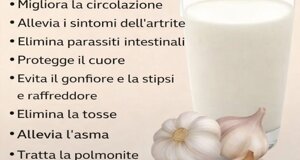 img_9972.jpeg img_9972.jpeg