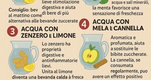 img_9892.jpeg img_9892.jpeg