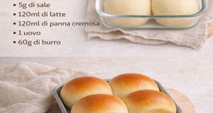 img_9982.jpeg img_9982.jpeg