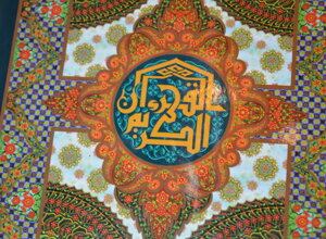 dsc_0053_ridimensionare.jpeg dsc_0053_ridimensionare.jpeg