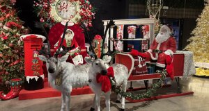 img_0216.jpeg img_0216.jpeg