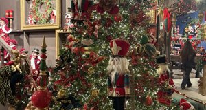 img_0241.jpeg img_0241.jpeg