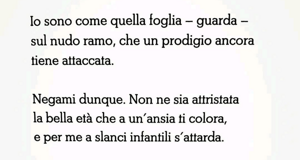 news%20dal%20web%20(29)