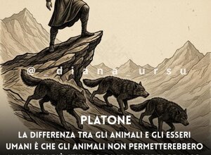 img_9481.jpeg img_9481.jpeg