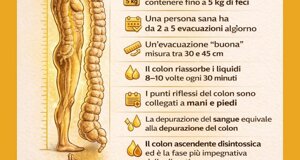 img_9808.jpeg img_9808.jpeg