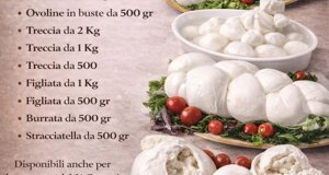 img_9896.jpeg img_9896.jpeg