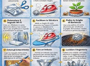 img_0051.jpeg img_0051.jpeg