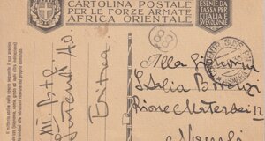 img_20231219_0037.jpeg img_20231219_0037.jpeg