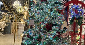 img_0230.jpeg img_0230.jpeg