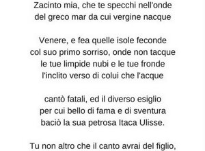 img_9423.jpeg img_9423.jpeg