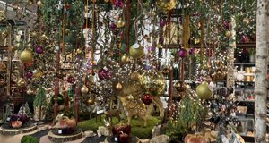 img_0229.jpeg img_0229.jpeg