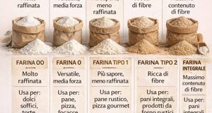 img_9862.jpeg img_9862.jpeg