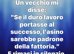 img_9591.jpeg img_9591.jpeg