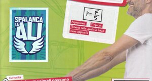 immagini%202025_20250727_0033.jpeg immagini%202025_20250727_0033.jpeg