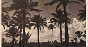 img_20231219_0034.jpeg img_20231219_0034.jpeg