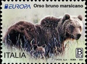 sirti.jpeg sirti.jpeg