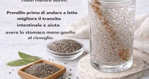 img_9863.jpeg img_9863.jpeg