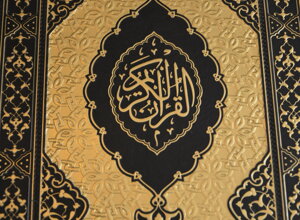 dsc_0051_ridimensionare.jpeg dsc_0051_ridimensionare.jpeg