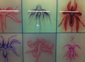 napoli notte 5 rid.jpeg