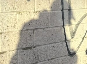 ombra%20sul%20palo.jpeg