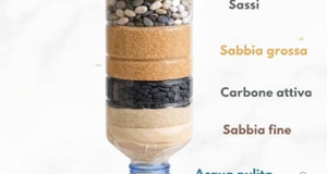 img_9903.jpeg img_9903.jpeg