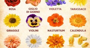 img_9851.jpeg img_9851.jpeg