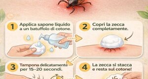 img_9959.jpeg img_9959.jpeg