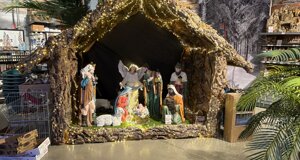 img_0217.jpeg img_0217.jpeg