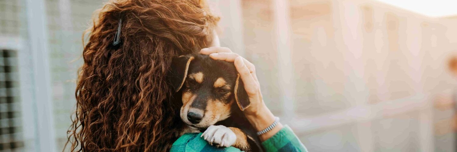 Volontario che sfama gatti randagi.