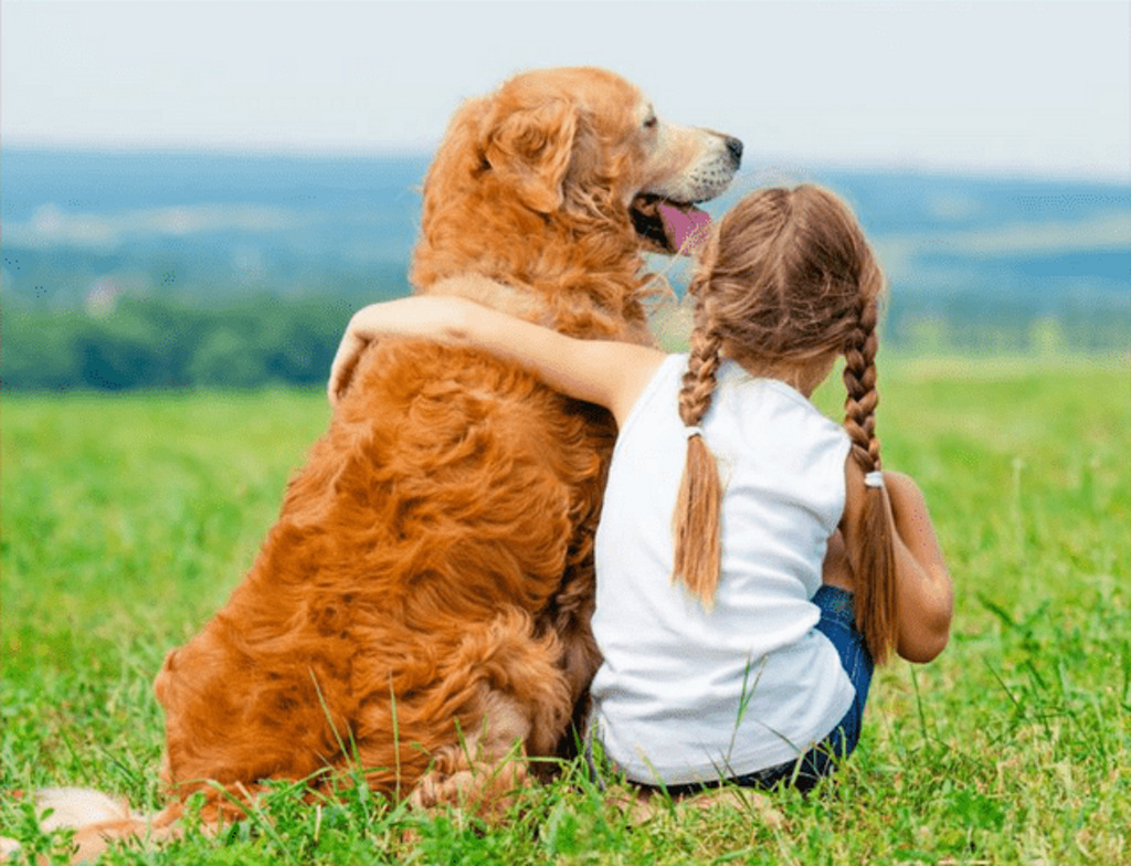 Bambina con cane amico.