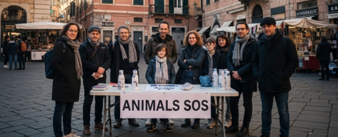 sito animals (980 x 398 px)