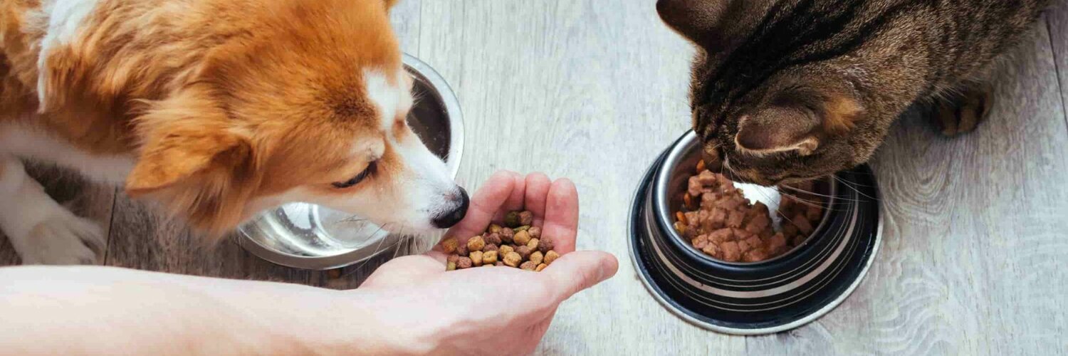 banner 1800 x 500-1.jpeg banner 1800 x 500-1.jpeg