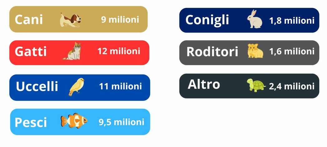 orange and brown pet shop instagram story (275 x 108 mm).jpeg