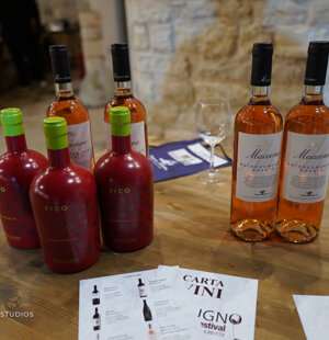 Wine & Food Festival di Modugno