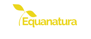 agenzia online marketing