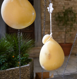 Wine & Food Festival di Modugno