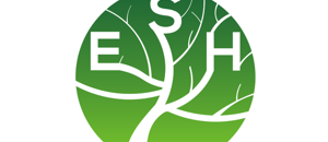 agenzia web internet