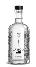 gin-lavico-etna-dry