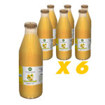 6x-succo-di-limone-1000ml