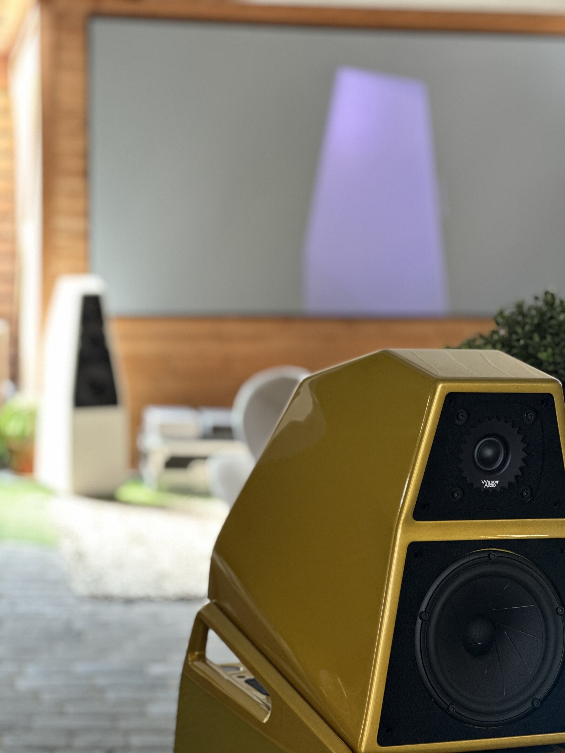 img_5994.jpeg img_5994.jpeg