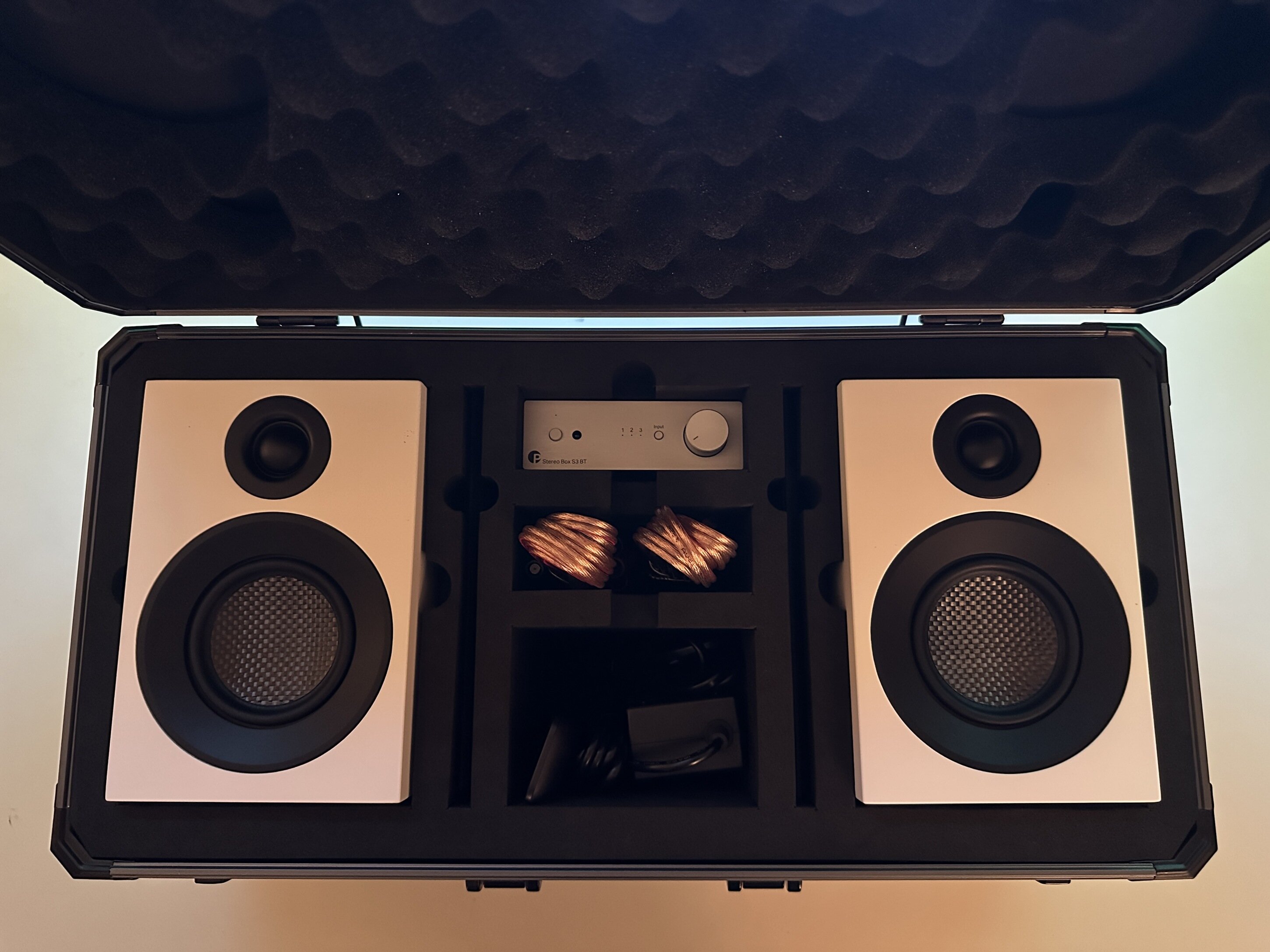 img_6833.jpeg img_6833.jpeg