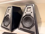 wilson-audio-watt-6