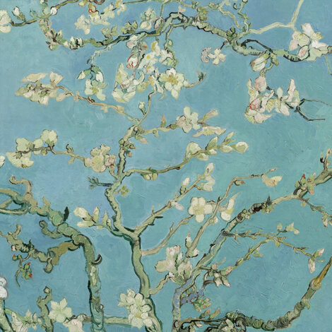 EUEU Van Gogh Fiori di albicocca Fiori di mandorlo Dipinti su tela Riproduzioni Wall Art Poster Stampe Quadri su tela Decorazioni per la casa
