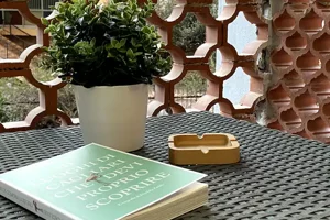 Balcone arredato con piante della stanza Mirto a Cagliari