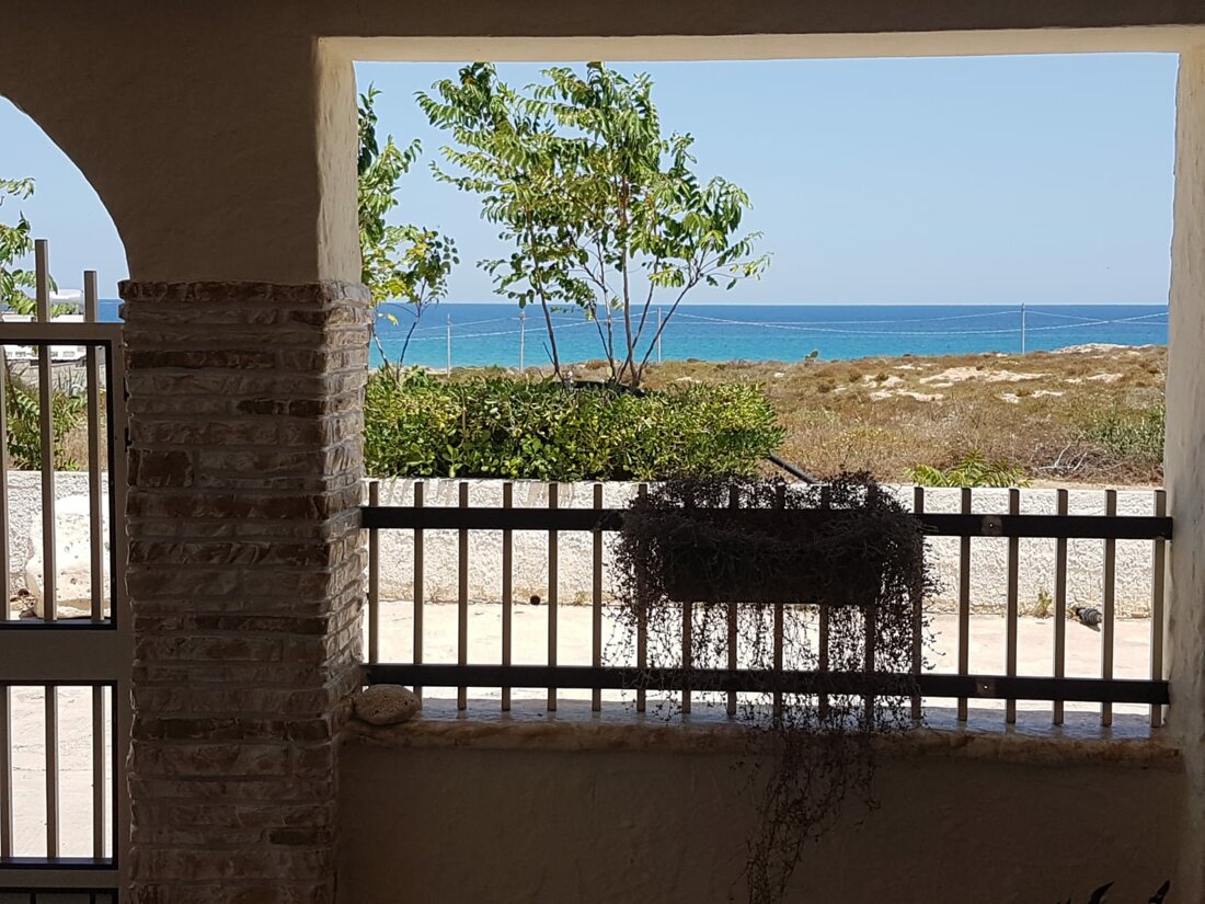 whatsapp image 2020-06-27 at 13.35.03 (1).jpeg