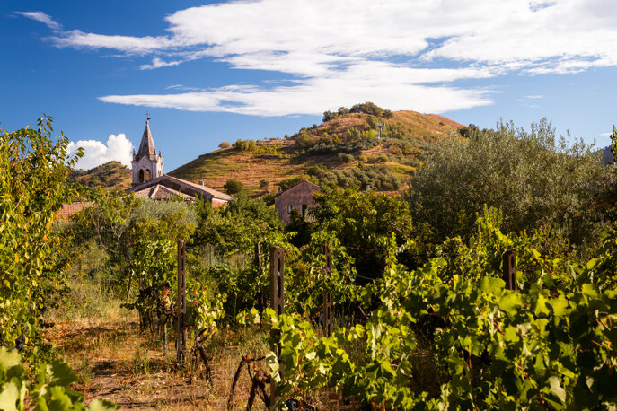 Palazzo Previtera - Book Online - Living Museum and Luxury Bed and Breakfast - Museo Vivente - Soggiorno in Sicilia Museo Vivente - Linguaglossa CT Palazzo Previtera - Book Online - Living Museum and Luxury Bed and Breakfast - Museo Vivente - Soggiorno in Sicilia Museo Vivente - Linguaglossa CT